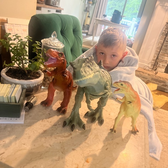 Meet your Posher, Jr. - Picture 17 of 17